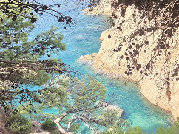 Agua turquesa en una cala del Camí de Ronda de Sant Pol a Sant Feliu