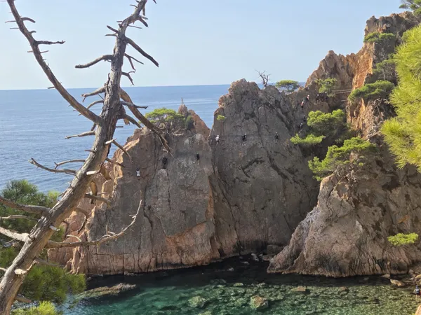 Rocas y pinos sobre el mar en el Camí de Ronda de Sant Pol a Sant Feliu