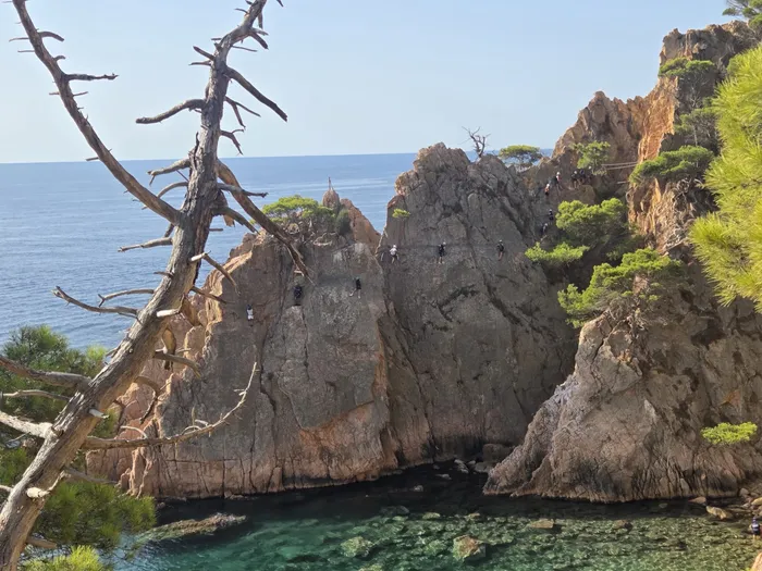 Rocas y pinos sobre el mar en el Camí de Ronda de Sant Pol a Sant Feliu