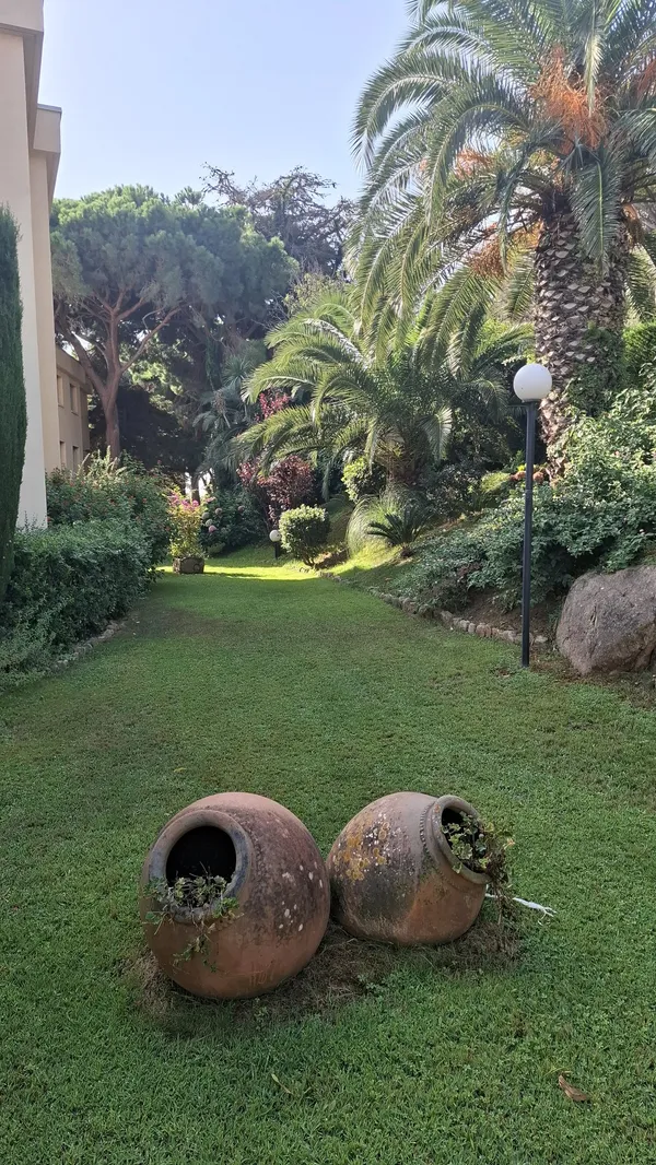 Rincón del jardín comunitario con palmeras